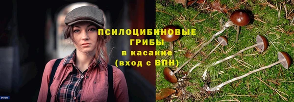 спиды Няндома