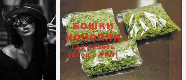 спиды Няндома