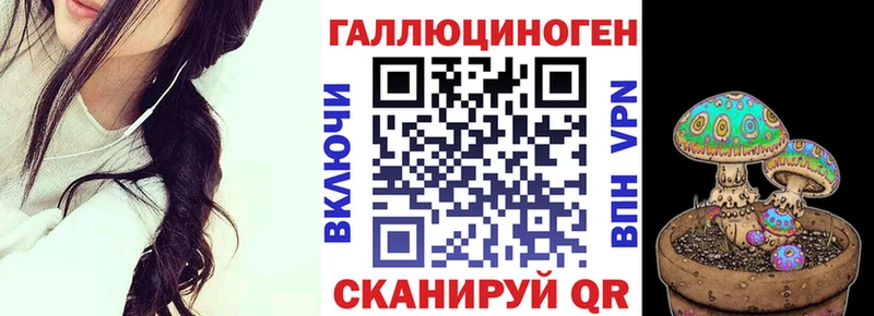 darknet клад  купить наркотики цена  Губаха  Галлюциногенные грибы прущие грибы  МЕГА ONION 