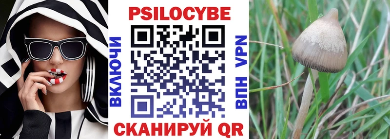Псилоцибиновые грибы MAGIC MUSHROOMS Губаха