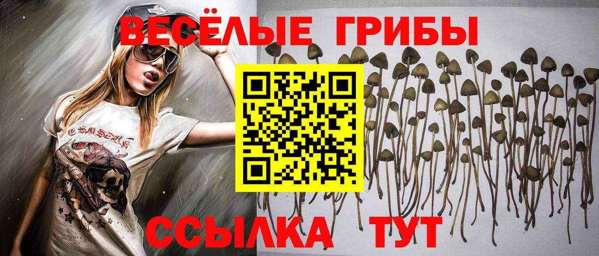 Псилоцибиновые грибы ЛСД Губаха