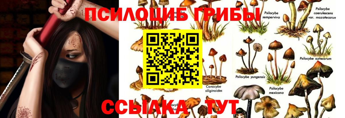 Псилоцибиновые грибы прущие грибы  Вход с VPN  Губаха 